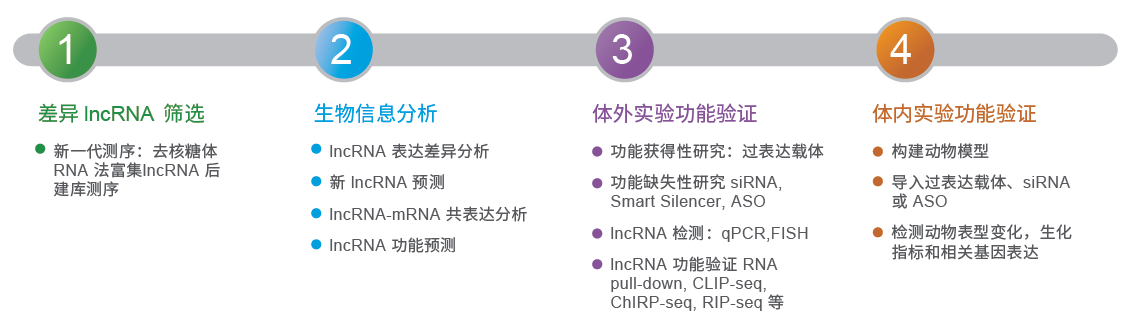 lncRNA功能缺失性研究方法,你真的选对了吗?-肽度TIMEDOO