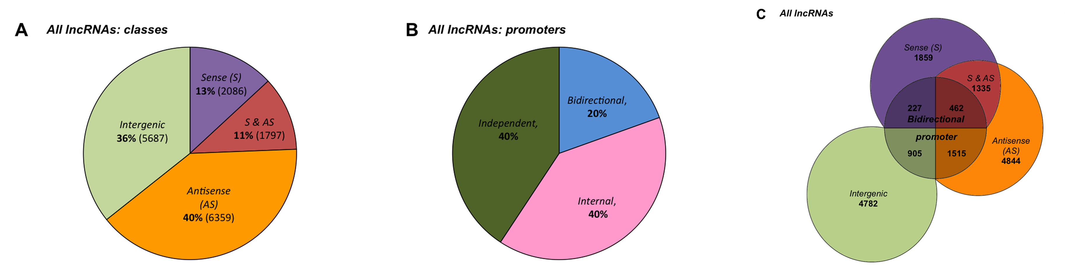 lncRNA功能缺失性研究方法,你真的选对了吗?-肽度TIMEDOO