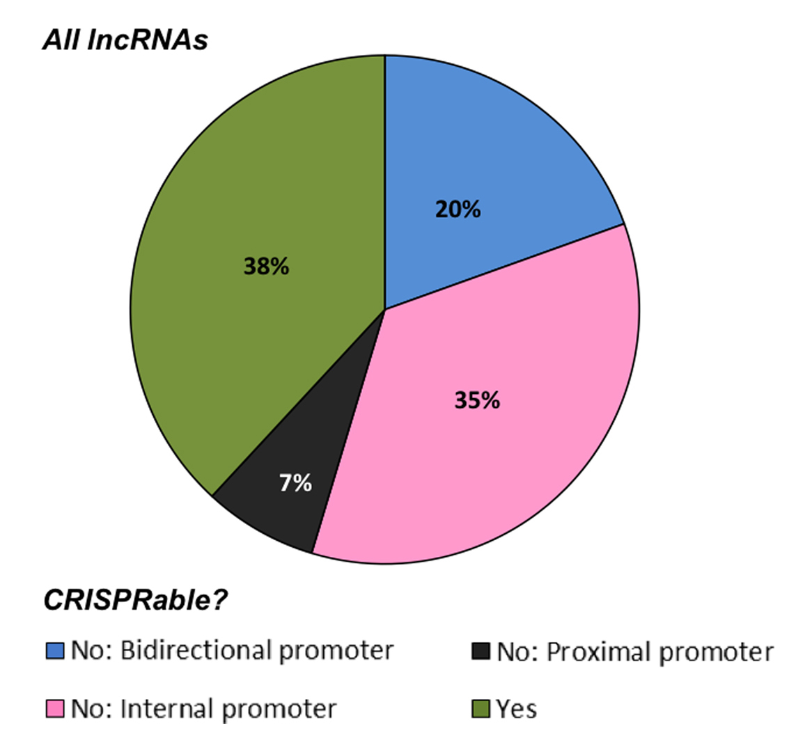 lncRNA功能缺失性研究方法,你真的选对了吗?-肽度TIMEDOO