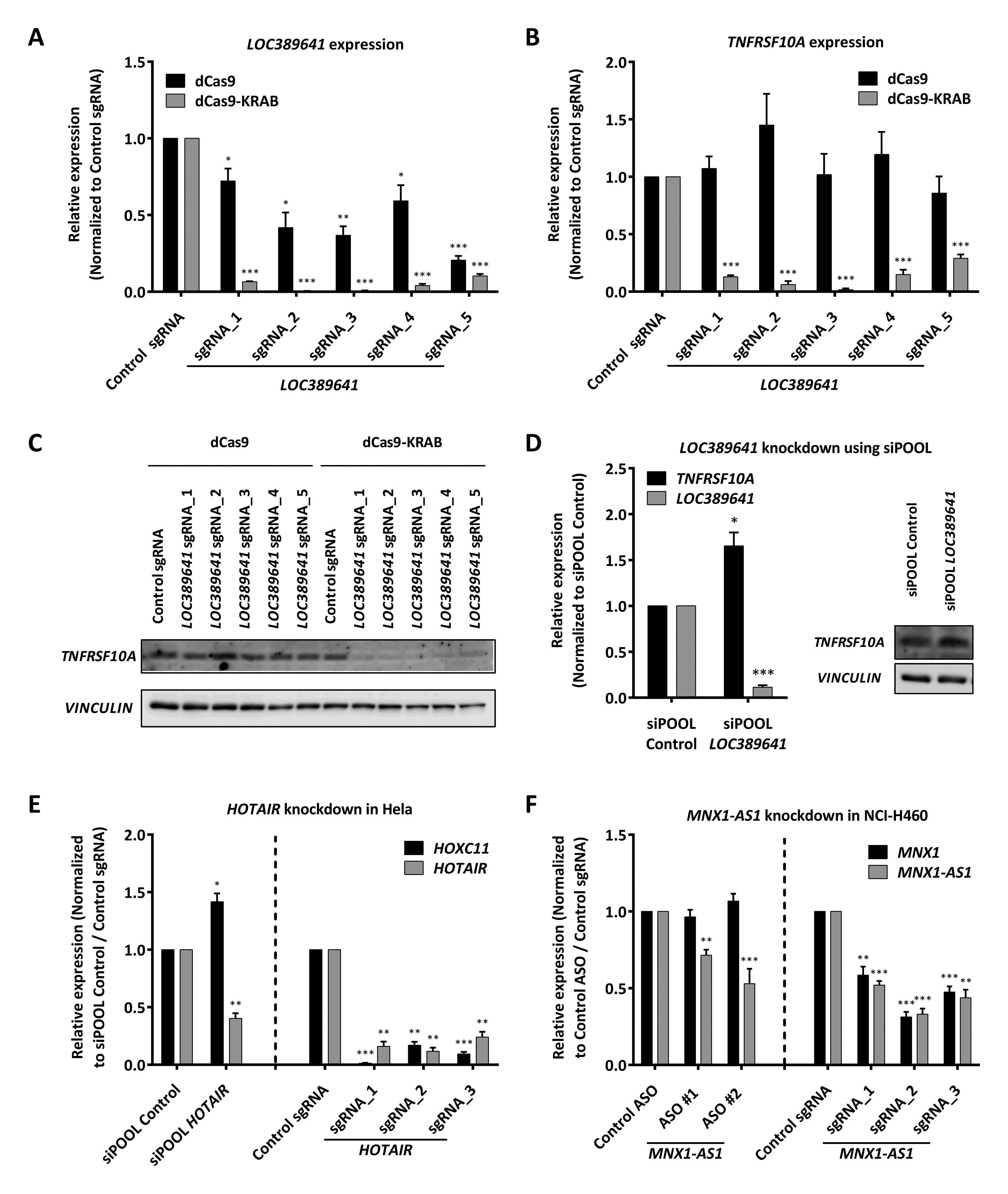 lncRNA功能缺失性研究方法,你真的选对了吗?-肽度TIMEDOO
