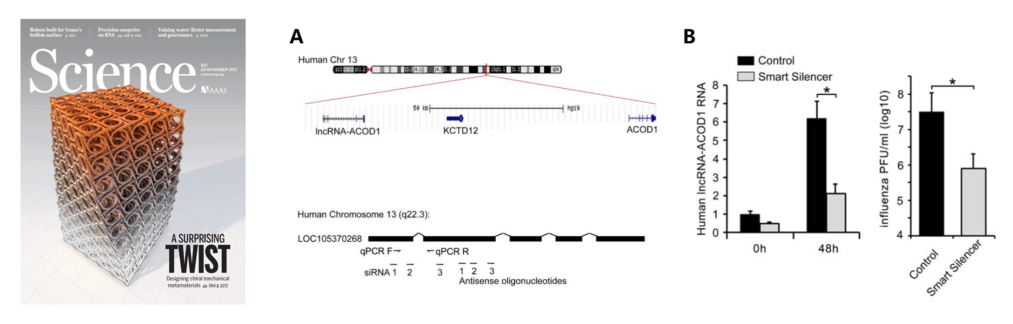 lncRNA功能缺失性研究方法,你真的选对了吗?-肽度TIMEDOO
