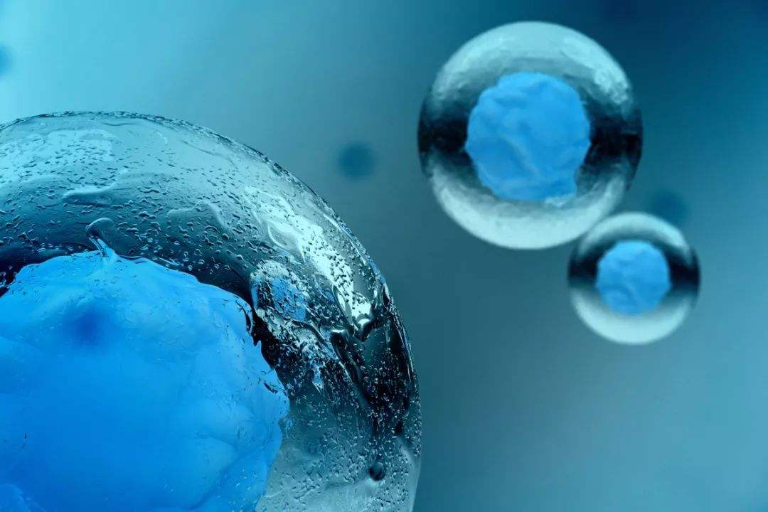 Nature最新发现癌症免疫疗法的关键蛋白：重振耗竭的免疫细胞，阻止癌症