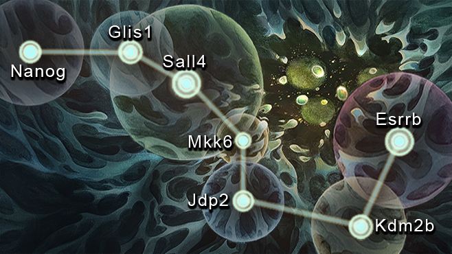 中科院广州生物院开发出“5G”版体细胞重编程技术