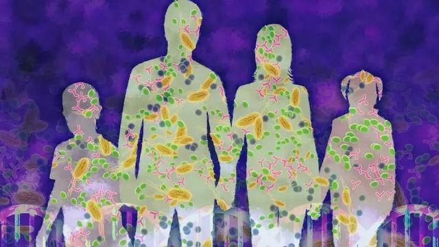 人类微生物组计划第二阶段成果重磅发布，揭示微生物对健康影响-肽度TIMEDOO
