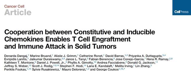 Cancer Cell：T 细胞打入肿瘤细胞要先对好“暗号”-肽度TIMEDOO