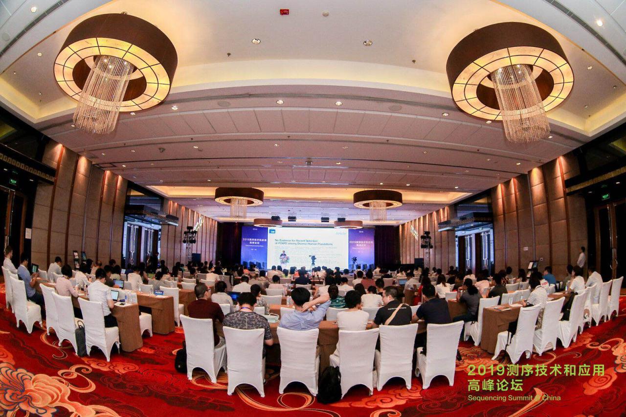 华大智造2019测序技术白皮书发布，引领行业创新突破-肽度TIMEDOO