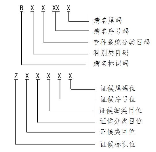 360截图20190627151628359.jpg 国家医保局:医疗保障信息业务编码标准数据库先期试运行-肽度TIMEDOO
