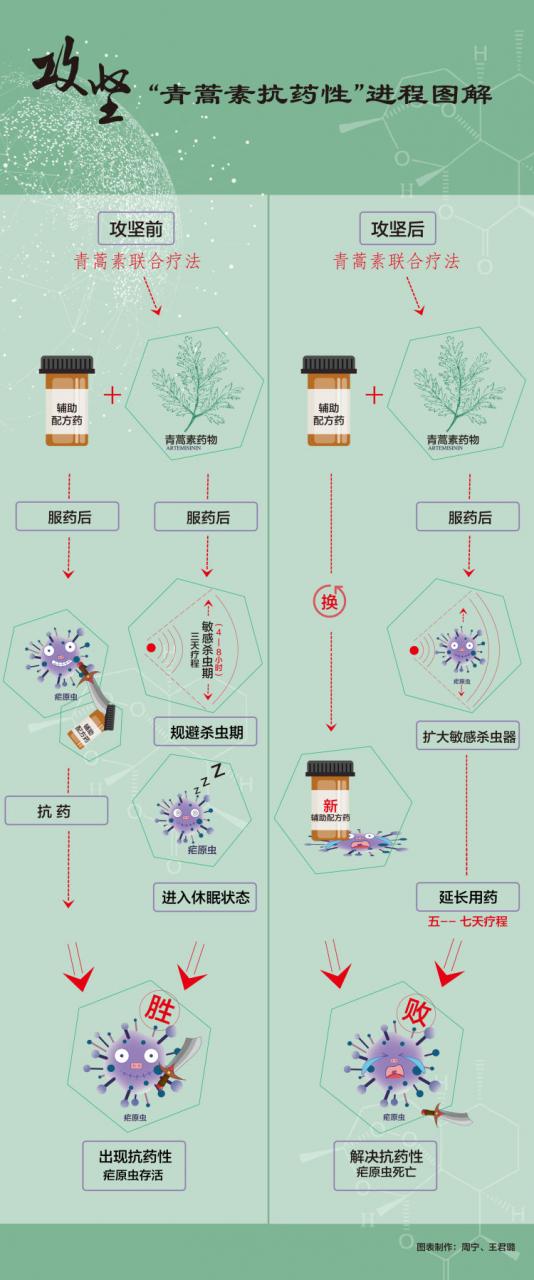 屠呦呦团队“青蒿素抗药性”等研究获新突破-肽度TIMEDOO