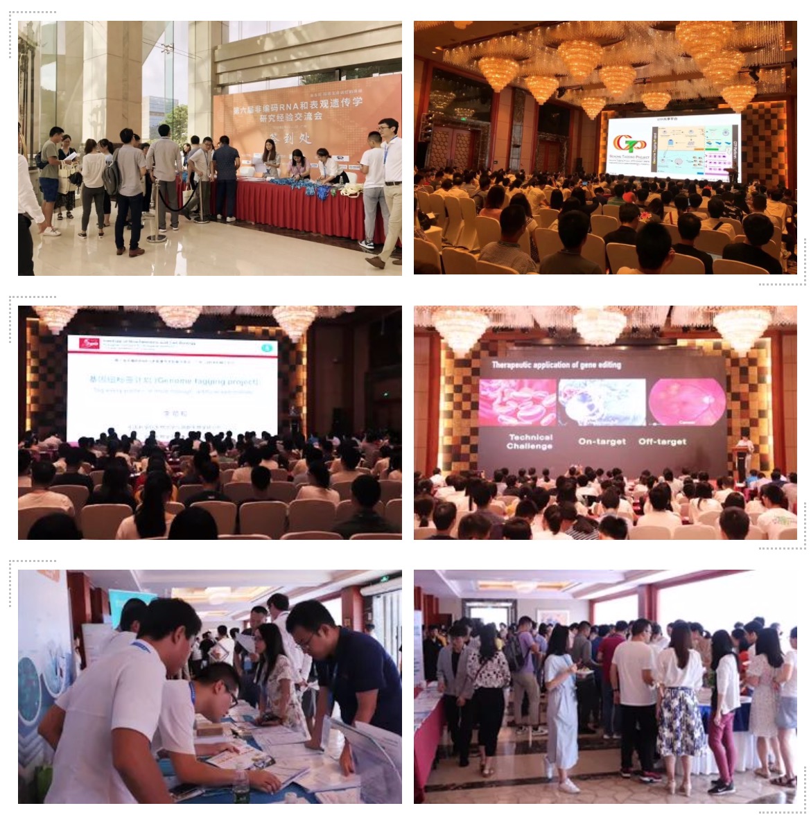 祝贺丨第六届非编码RNA和表观遗传学交流会圆满举行-肽度TIMEDOO