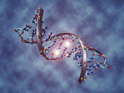 生物信息学界共倡遵守人类遗传资源管理条例