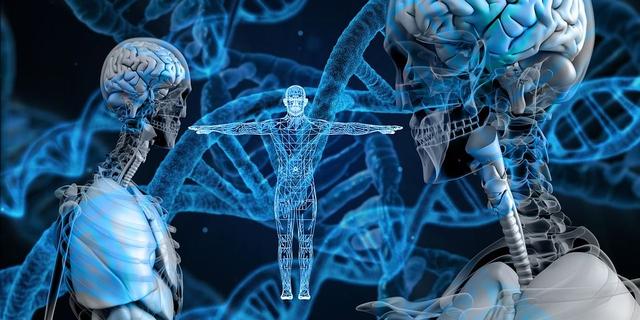 一种“长寿基因”可对抗心血管疾病，意科学家欲开发长寿药-肽度TIMEDOO