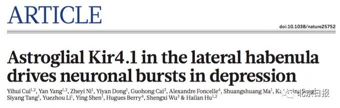 亚洲第一人!实力颜值双爆表浙大女教授获国际脑研究组织凯默理奖-肽度TIMEDOO