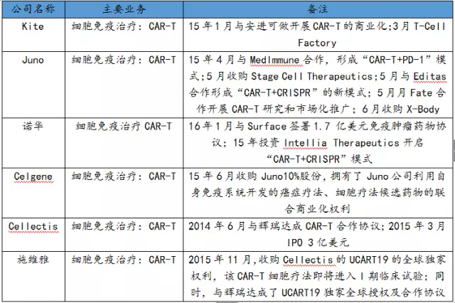 免疫细胞治疗领域的市场概况梳理-肽度TIMEDOO
