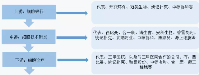 免疫细胞治疗领域的市场概况梳理-肽度TIMEDOO