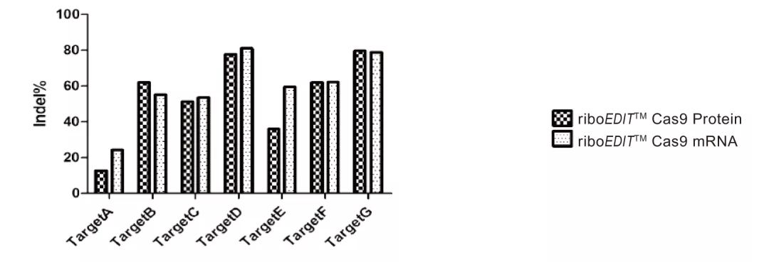 盛夏爆款丨这就是你想要的CRISPR-Cas9体系-肽度TIMEDOO