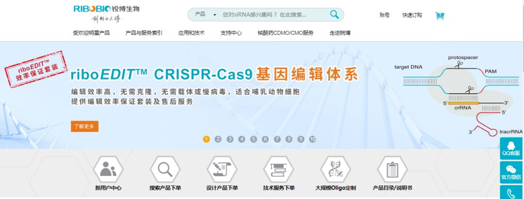 盛夏爆款丨这就是你想要的CRISPR-Cas9体系-肽度TIMEDOO