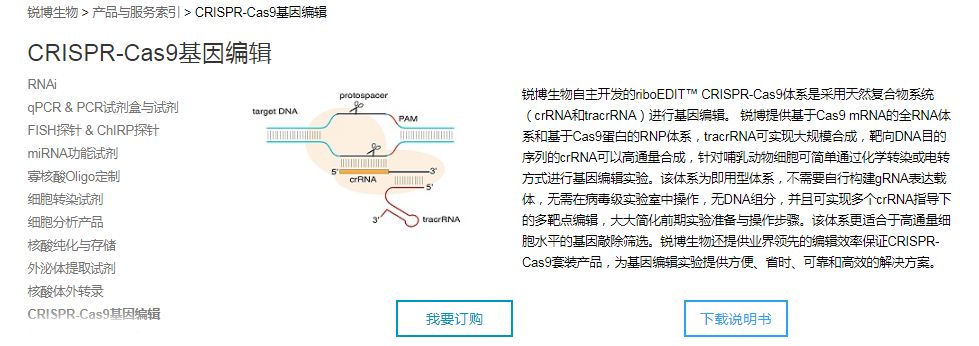 盛夏爆款丨这就是你想要的CRISPR-Cas9体系-肽度TIMEDOO