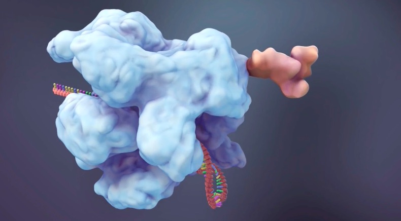 Nature医学动画:除了切割DNA，CRISPR-CAS9还可以做什么呢？