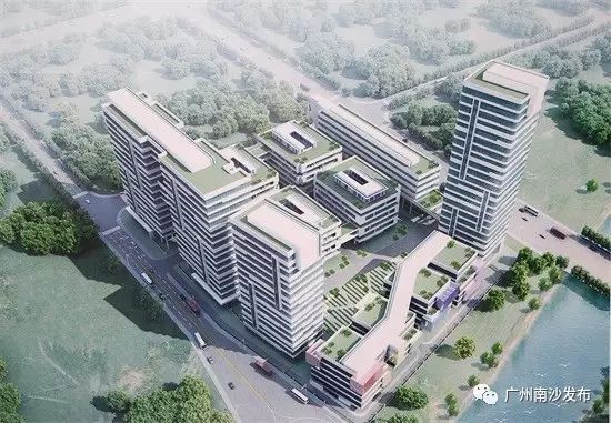 连串大动作!为打造粤港澳大湾区医疗卫生新高地,南沙是怎么做的?-肽度TIMEDOO