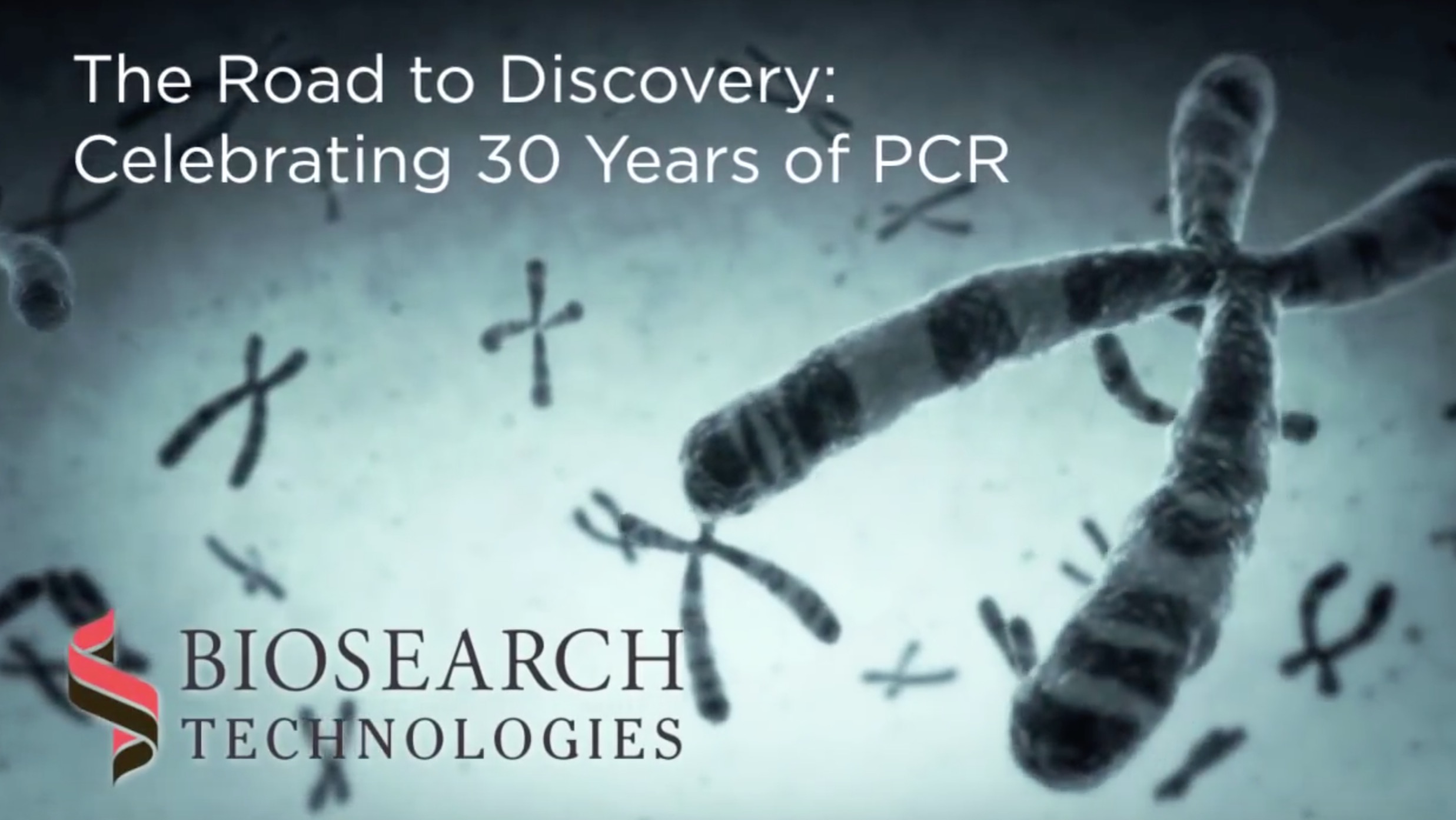 history of PCR