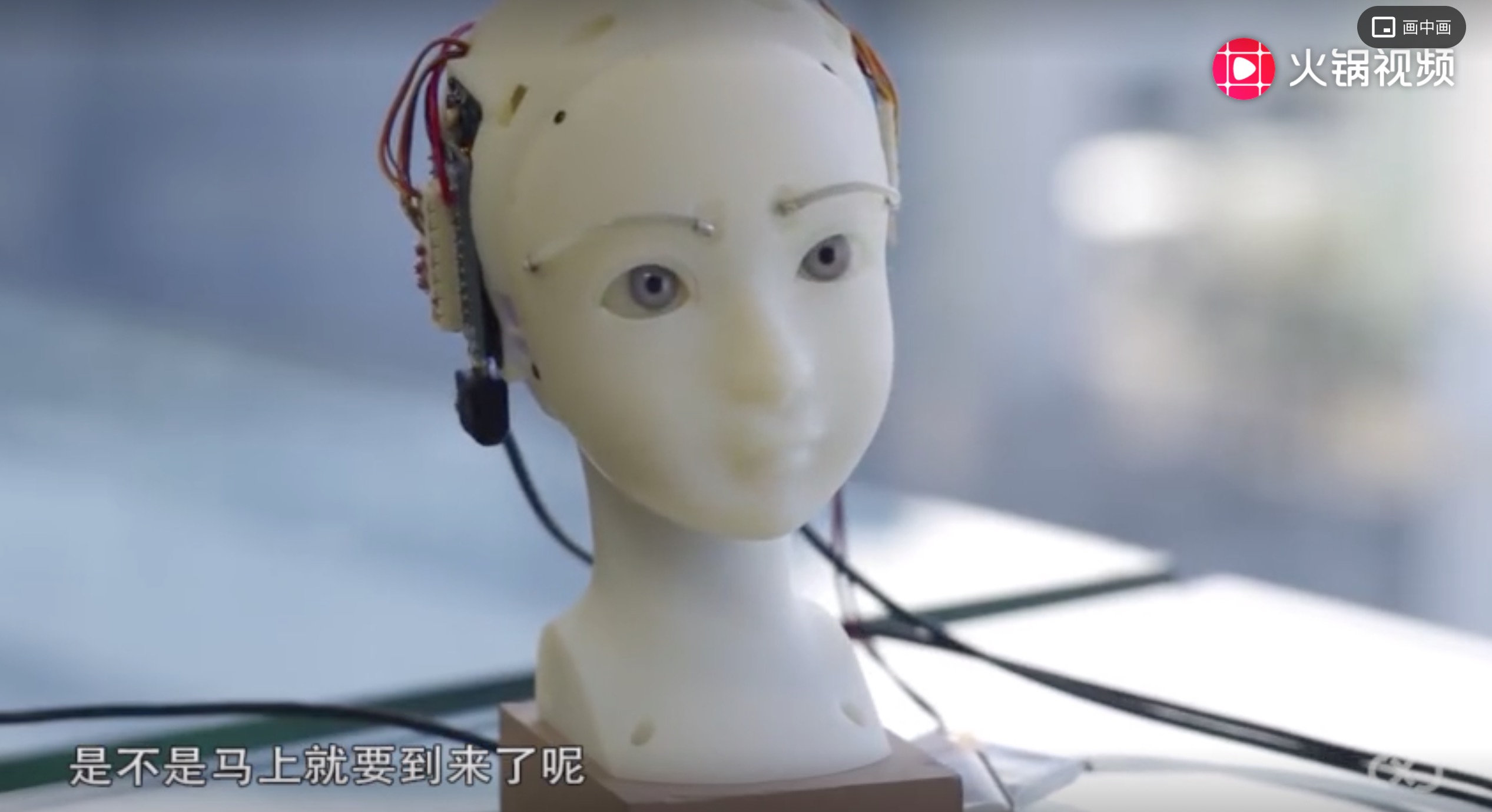 黑科技：3个令人惊艳的仿真机器人，有心跳有血液会流泪-肽度TIMEDOO