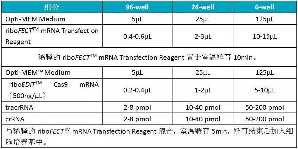 干货丨全RNA体系CRISPR-Cas9基因编辑Protocol及T7E1酶切效率筛选方法-肽度TIMEDOO