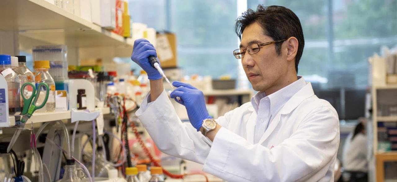 抓住癌症风暴的“眼睛”，Nature子刊解开癌细胞的摄食之谜