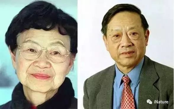 献礼七夕 | 夫妻院士,伉俪情深——盘点18对院士夫妻-肽度TIMEDOO