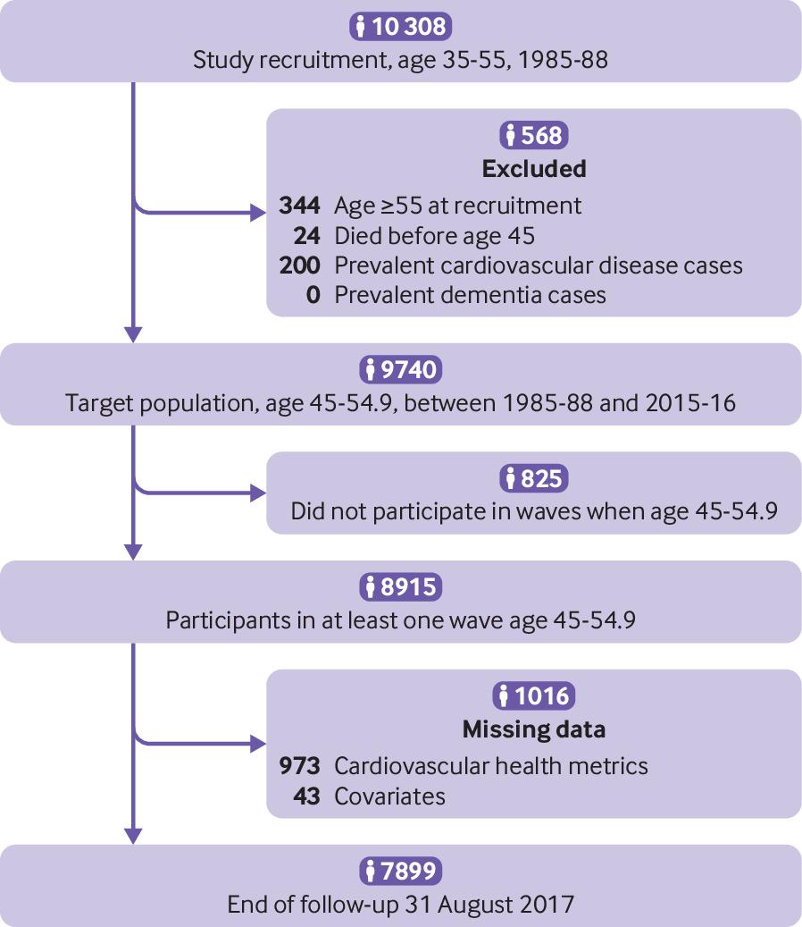 BMJ:50岁拥有健康的心脏有多重要?心血管隐忧会增加晚年痴呆症风险-肽度TIMEDOO