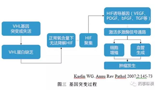 肾癌靶向药的调研报告-肽度TIMEDOO