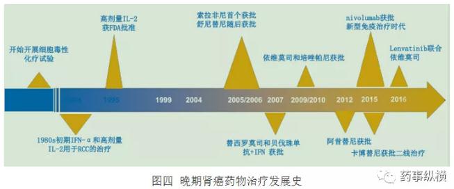 肾癌靶向药的调研报告-肽度TIMEDOO