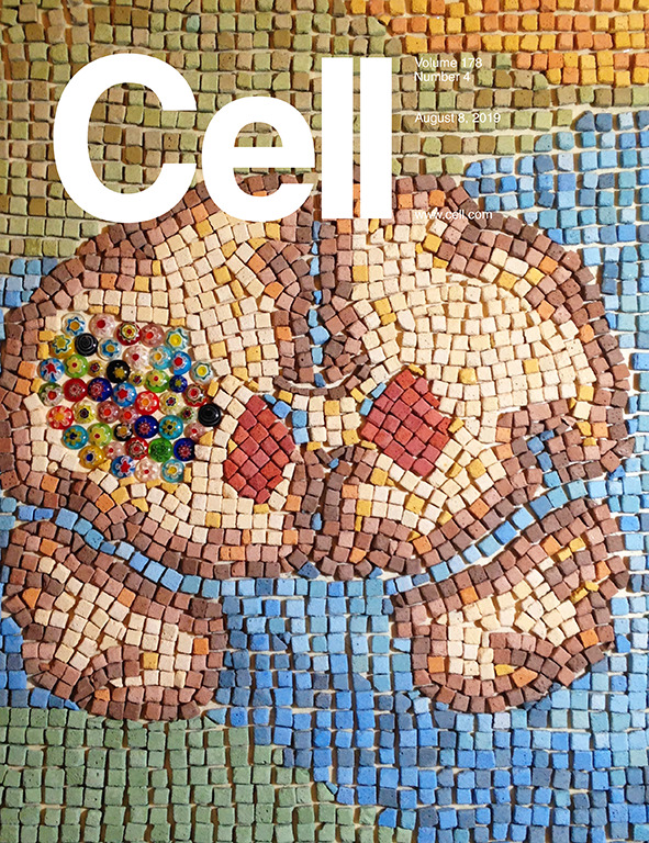 Cell封面：单细胞测序揭示胶质母细胞瘤的“变形计”