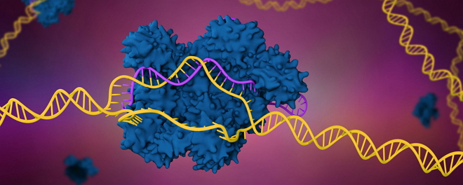 2019年全球十大基因编辑公司，CRISPR“三大先驱”都入选