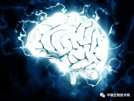 Nature展示迄今为止最详细的“人脑零部件清单”