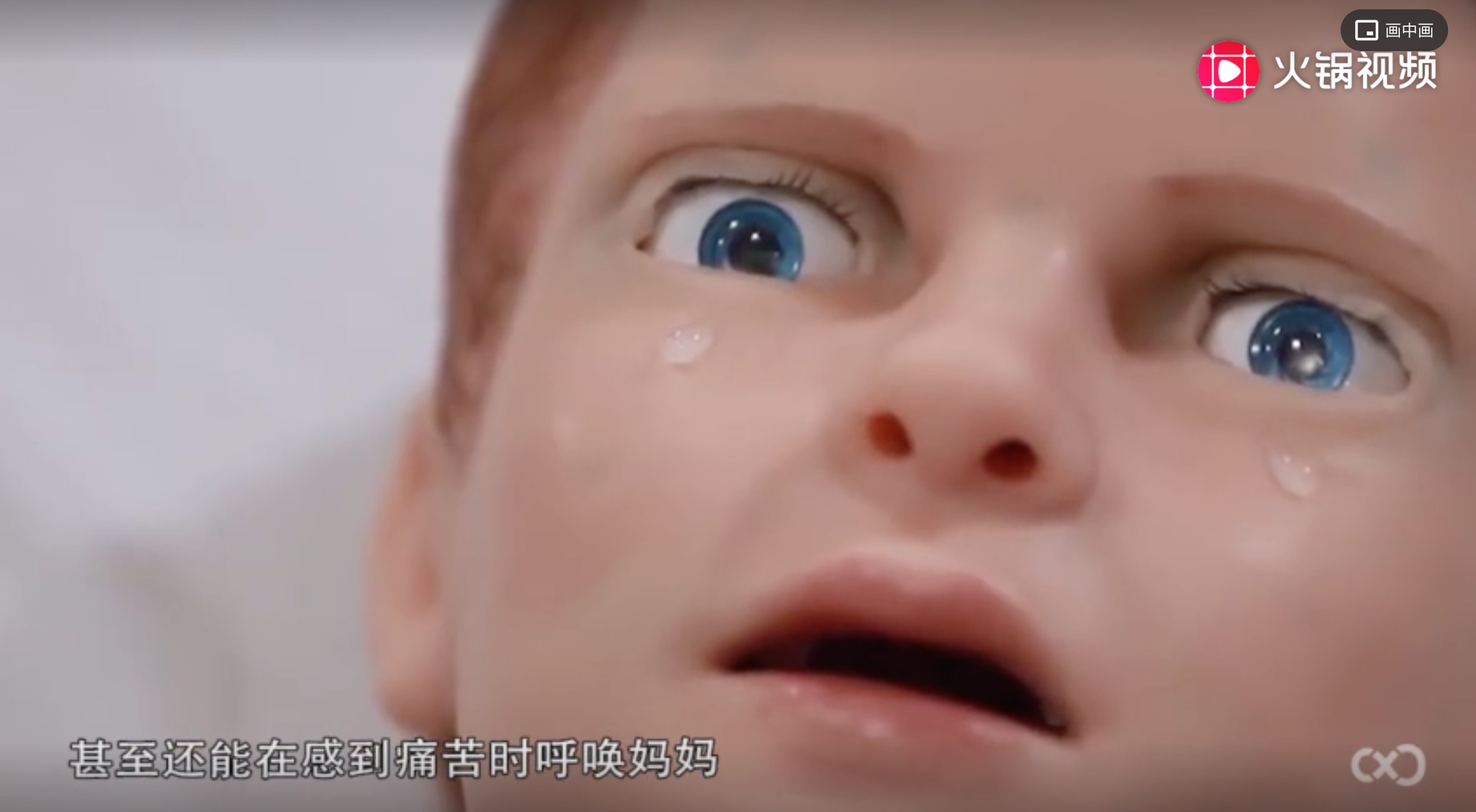 黑科技：3个令人惊艳的仿真机器人，有心跳有血液会流泪-肽度TIMEDOO