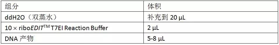 干货丨全RNA体系CRISPR-Cas9基因编辑Protocol及T7E1酶切效率筛选方法-肽度TIMEDOO