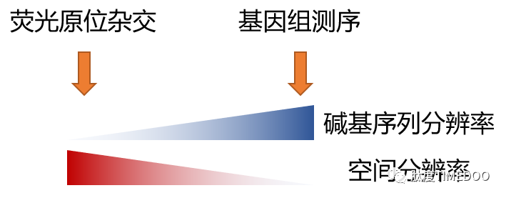 专访|Nature重大发现：癌基因竟不在染色体上？第一作者吴思涵亲身解读！-肽度TIMEDOO