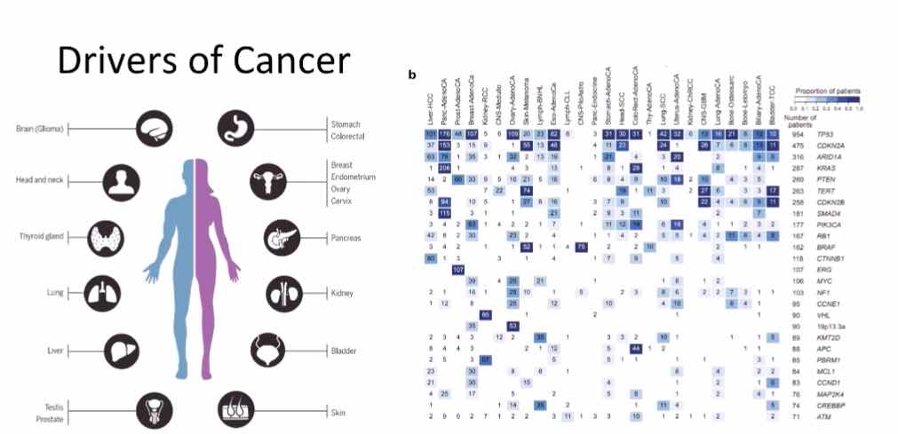 医学课程: SG-NEx项目-人癌细胞系的纳米孔long-read RNA测序