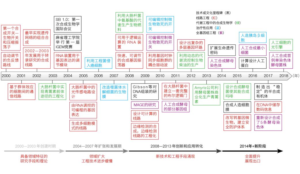 行研 | 合成生物二次“鲤”跃龙门，蓄势待发-肽度TIMEDOO