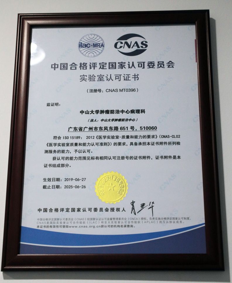 华南首家!中肿病理科通过CNAS认可 华南首家!中肿病理科通过CNAS认可-肽度TIMEDOO