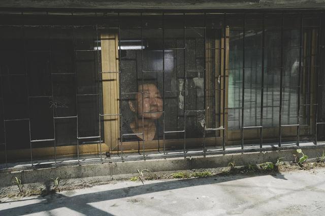 Cell重磅:带你了解病毒如何感染人类!人类-病毒蛋白质相互作用图谱面世-肽度TIMEDOO