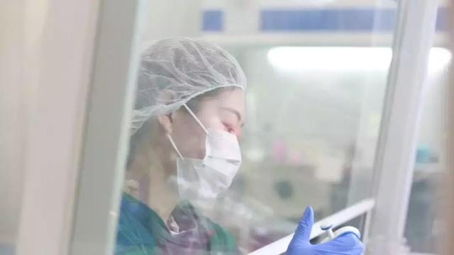 博雅辑因完成8150万Pre-B2轮融资，启动异体T细胞癌症疗法研发-肽度TIMEDOO