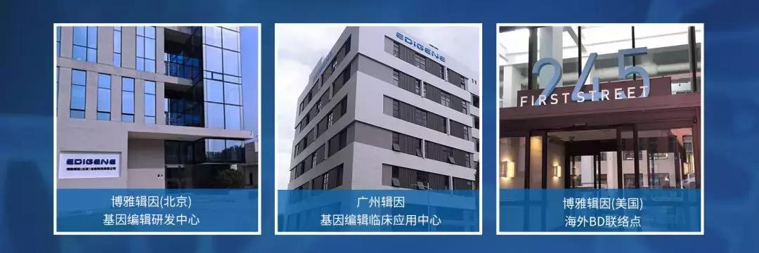博雅辑因完成8150万Pre-B2轮融资，启动异体T细胞癌症疗法研发-肽度TIMEDOO