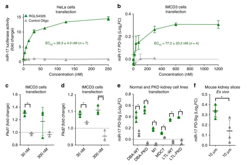 Nature重磅丨抗miR-17寡核苷酸RGLS4326用于治疗多囊肾的发现和临床前评价-肽度TIMEDOO