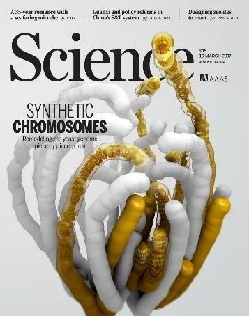 行研 | 合成生物二次“鲤”跃龙门，蓄势待发-肽度TIMEDOO