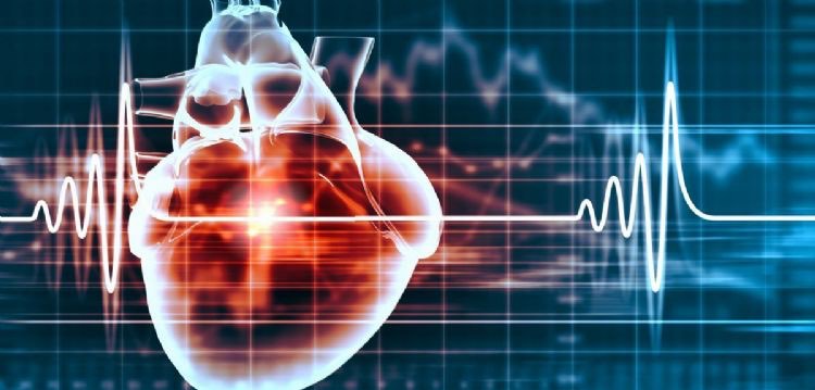 牛津大学最新研究：人工智能技术可协助预测高风险心脏病患