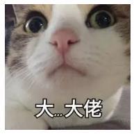 28岁女博士刚毕业成博导:学无先后,达者为师-肽度TIMEDOO