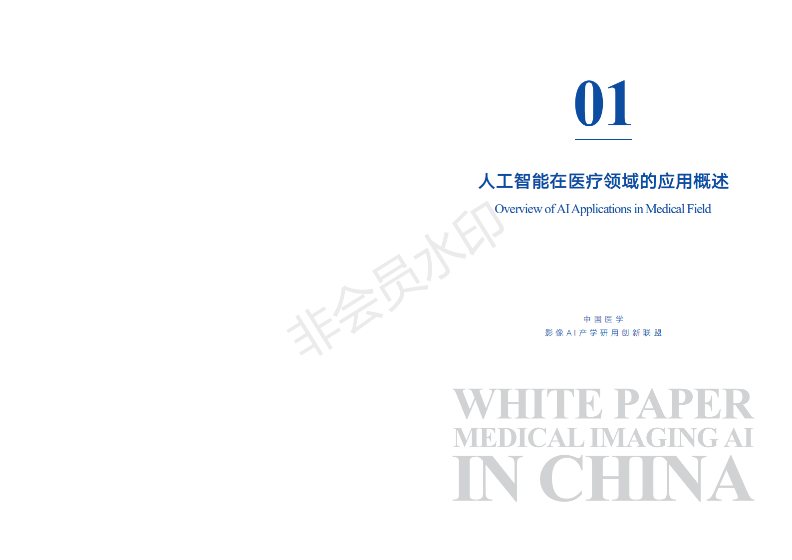 中国医学影像AI白皮书 下载-肽度TIMEDOO