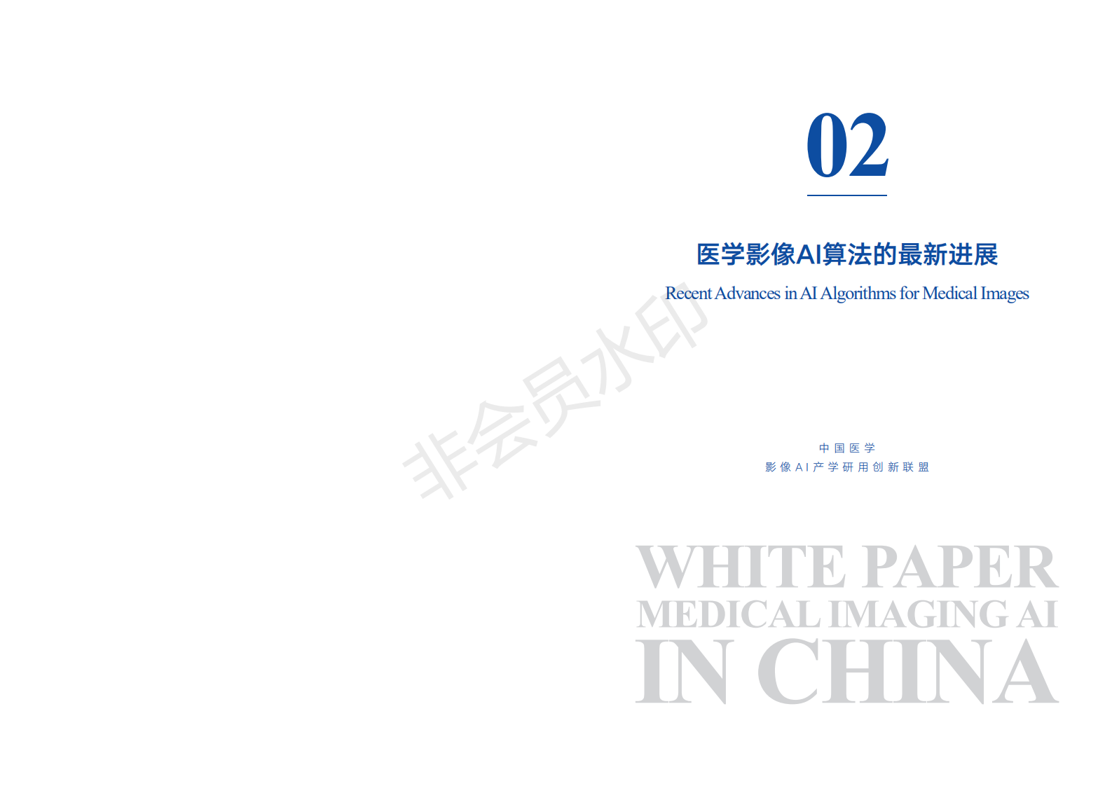 中国医学影像AI白皮书 下载-肽度TIMEDOO