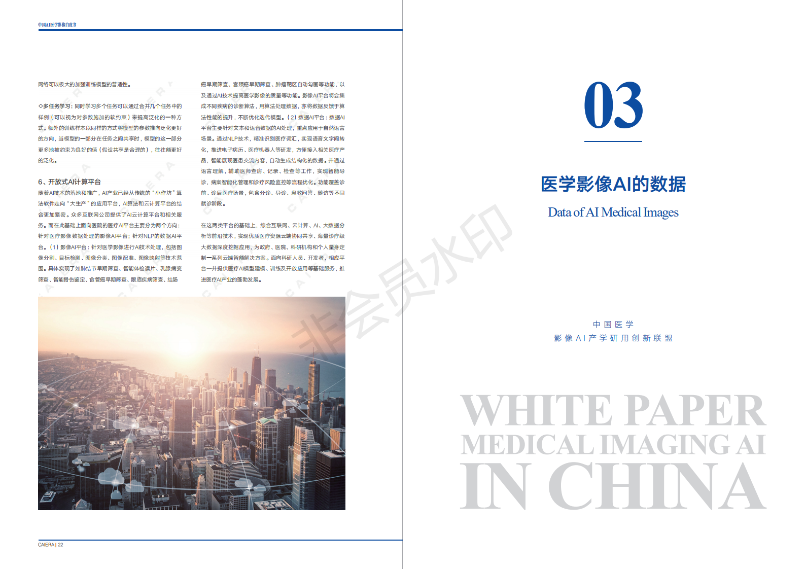 中国医学影像AI白皮书 下载-肽度TIMEDOO